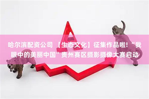 哈尔滨配资公司 【生态文化】征集作品啦! “我眼中的美丽中国”贵州赛区摄影摄像大赛启动