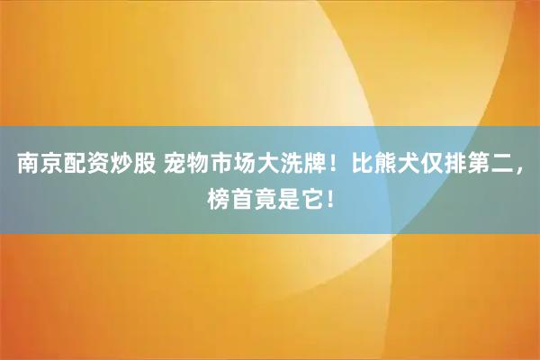 南京配资炒股 宠物市场大洗牌！比熊犬仅排第二，榜首竟是它！