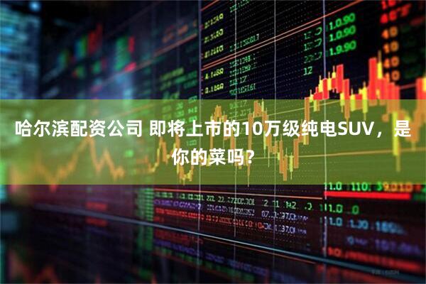 哈尔滨配资公司 即将上市的10万级纯电SUV，是你的菜吗？