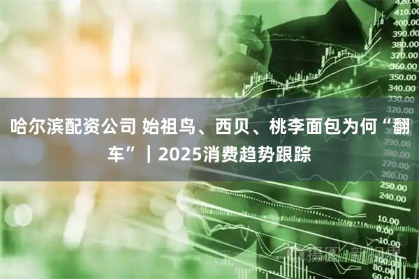 哈尔滨配资公司 始祖鸟、西贝、桃李面包为何“翻车”|2025消费趋势跟踪