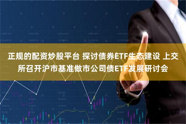 正规的配资炒股平台 探讨债券ETF生态建设 上交所召开沪市基准做市公司债ETF发展研讨会