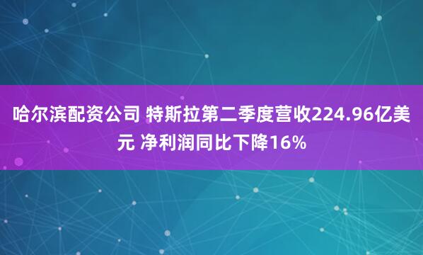 哈尔滨配资公司 特斯拉第二季度营收224.96亿美元 净利润同比下降16%