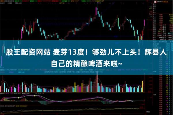股王配资网站 麦芽13度！够劲儿不上头！辉县人自己的精酿啤酒来啦~
