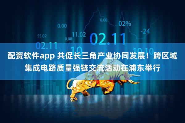 配资软件app 共促长三角产业协同发展!跨区域集成电路质量强链交流活动在浦东举行